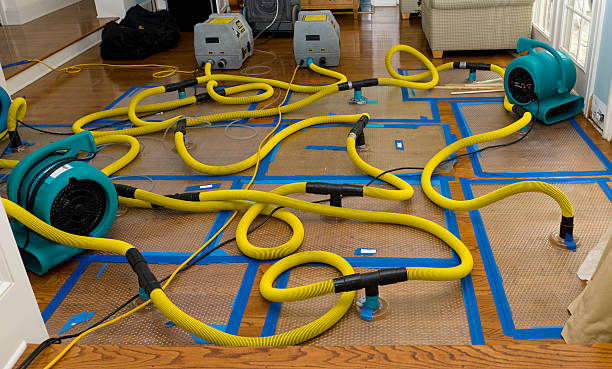Professional Basement Flood Cleanup technician working in Dana, NC
